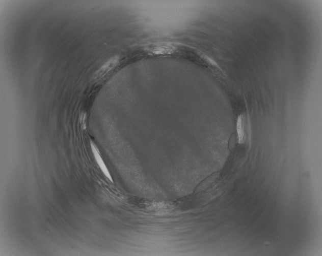 X0000078841443200612111543