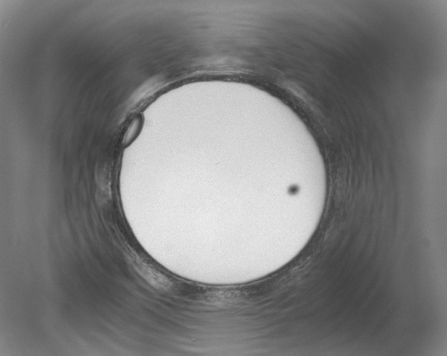 X0000078841451200612111543