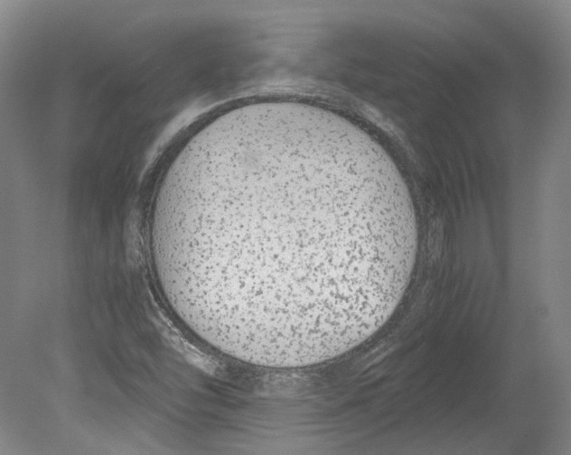 X0000078841454200612111543