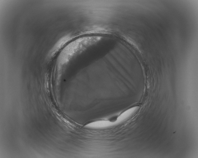 X0000078841455200612111543