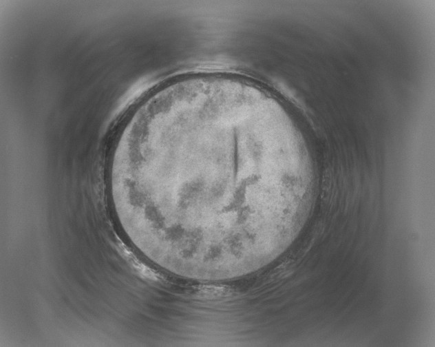 X0000078841456200612111543