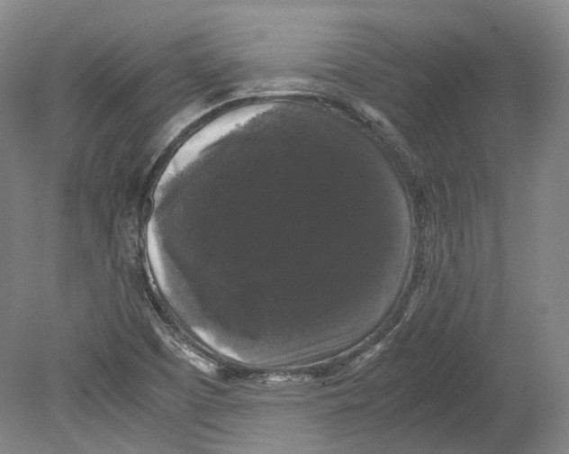 X0000078841457200612111543