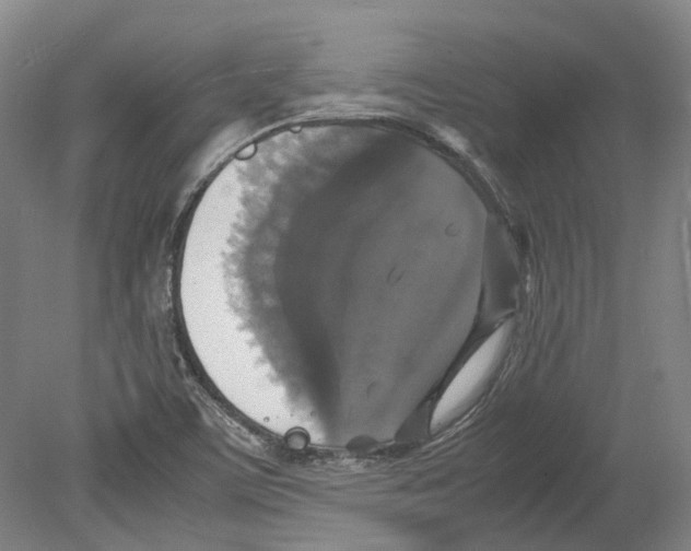 X0000078841459200612111543