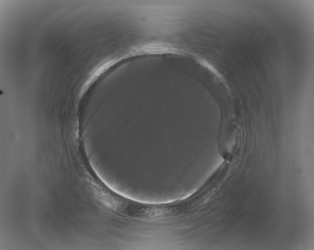 X0000078841461200612111543