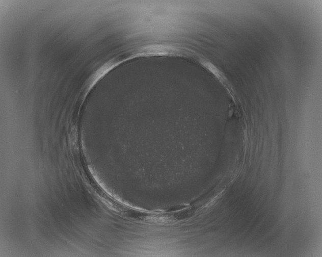 X0000078841465200612111543