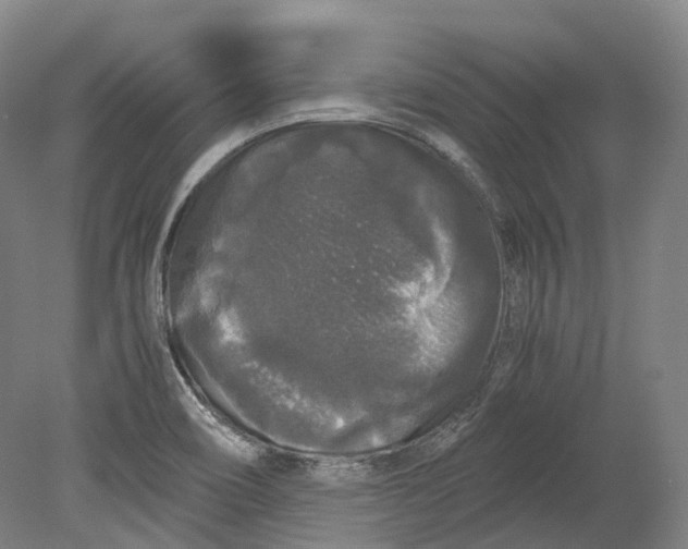 X0000078841466200612111543