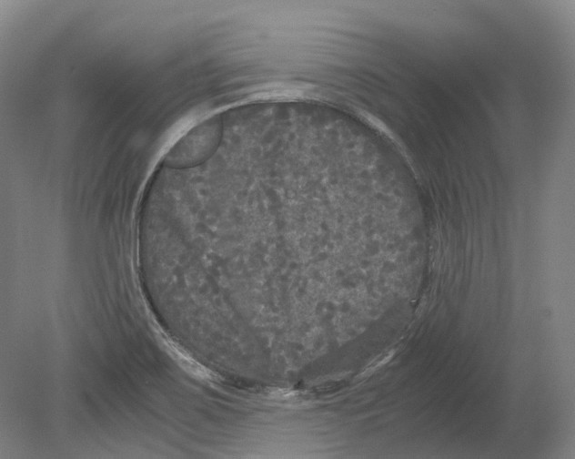 X0000078841467200612111543