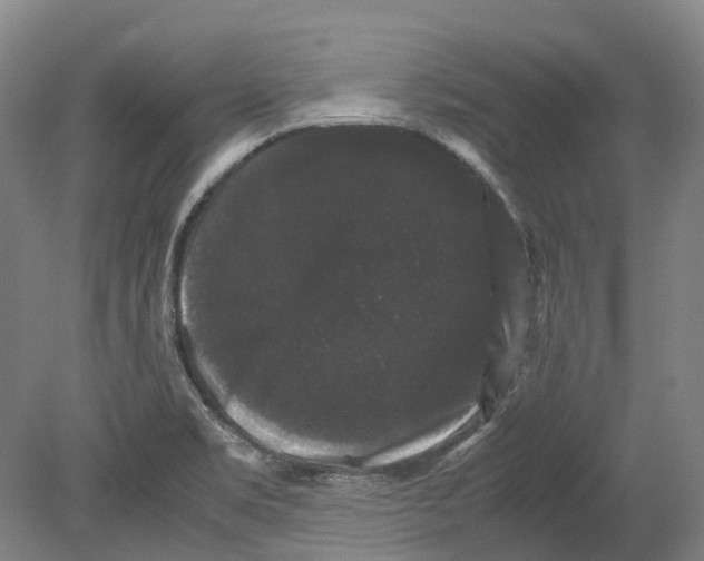 X0000078841469200612111543