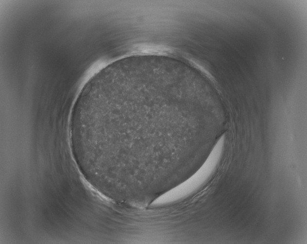 X0000078841471200612111543