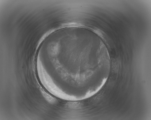 X0000078841474200612111543