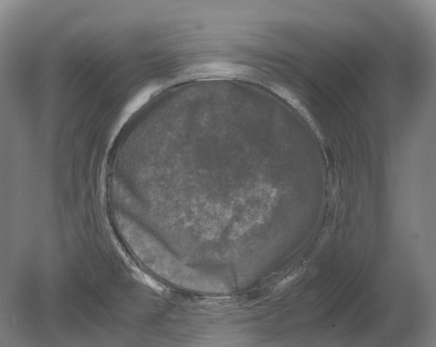 X0000078841477200612111543