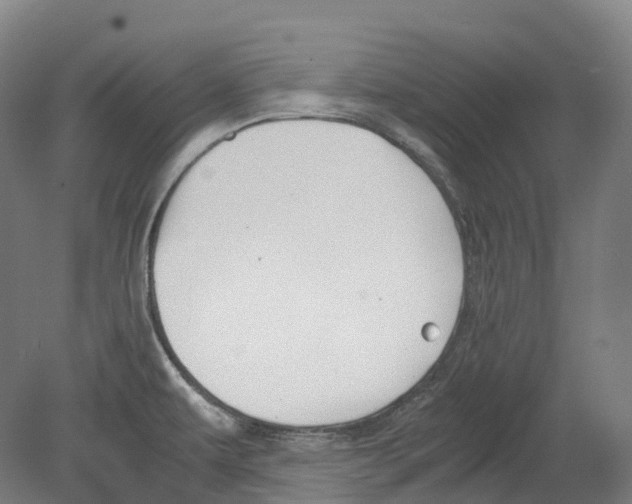 X0000078841479200612111542