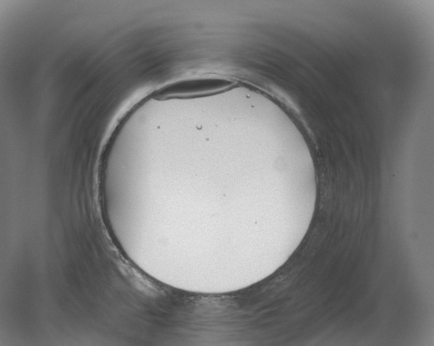 X0000078841480200612111542