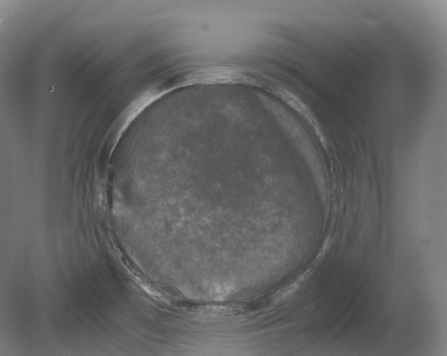 X0000078841481200612111542