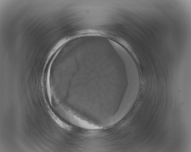 X0000078841482200612111542