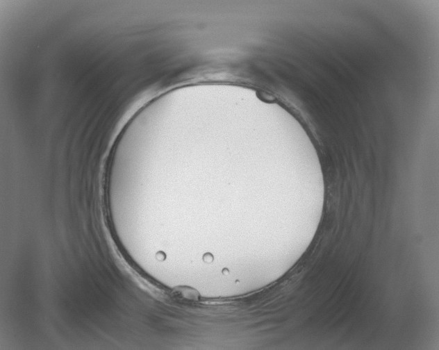 X0000078841483200612111542