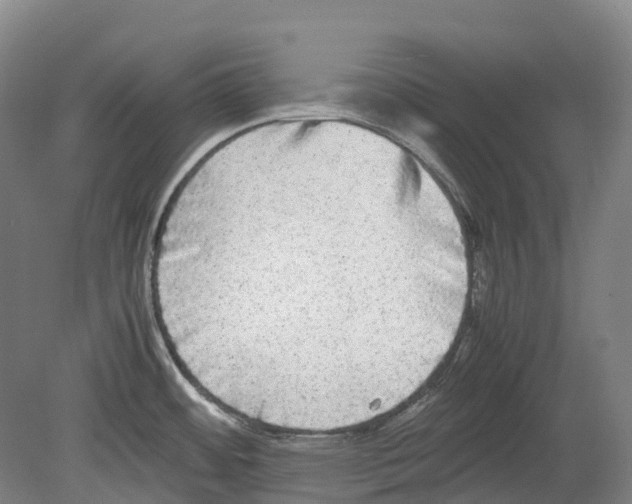 X0000078841484200612111542