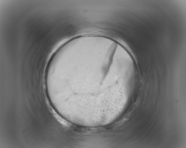 X0000078841485200612111542