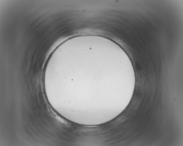 X0000078841486200612111542