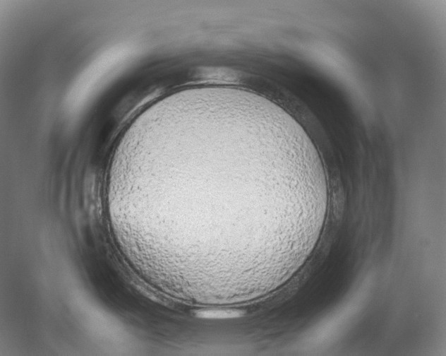 X0000078841487200612111542