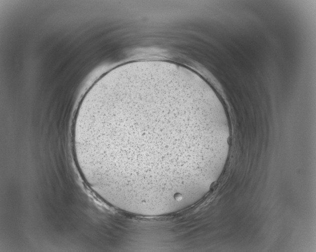 X0000078841488200612111542