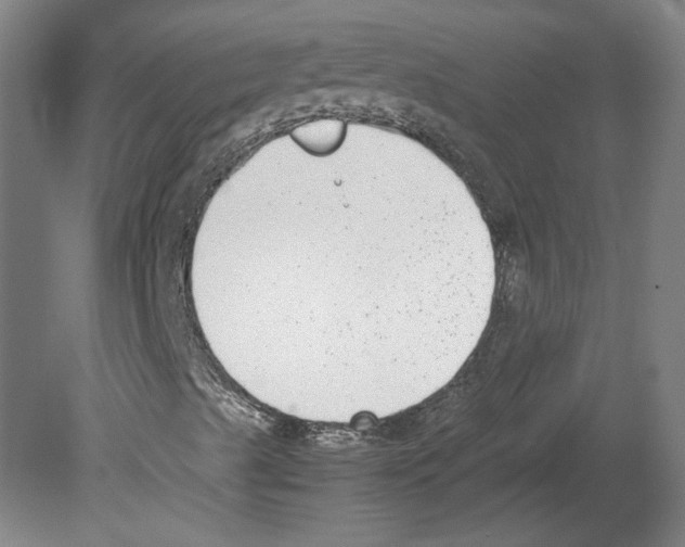 X0000078841489200612111542