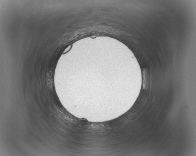 X0000078841491200612111542