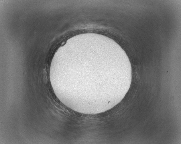 X0000078841493200612111542