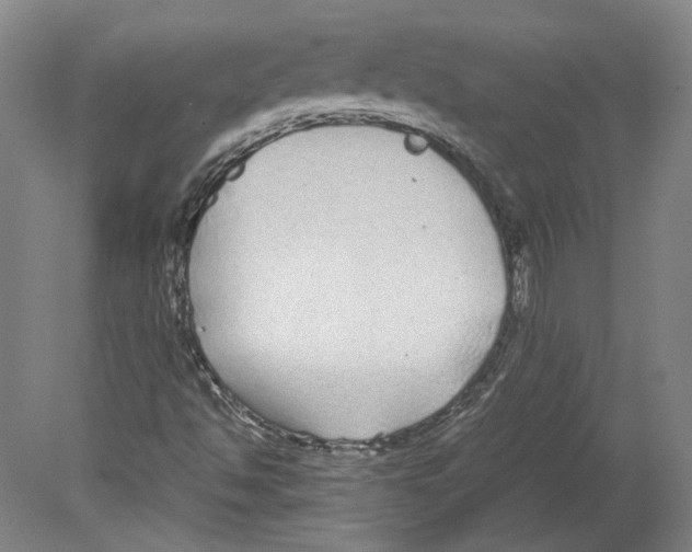 X0000078841494200612111542