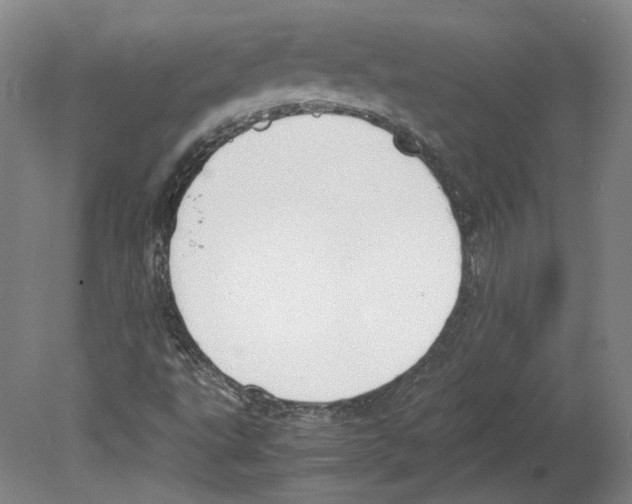 X0000078841495200612111542