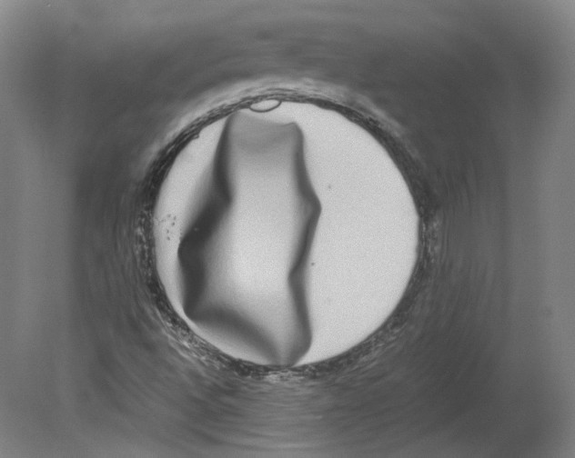 X0000078841496200612111542