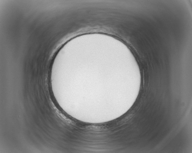 X0000078841500200612111542