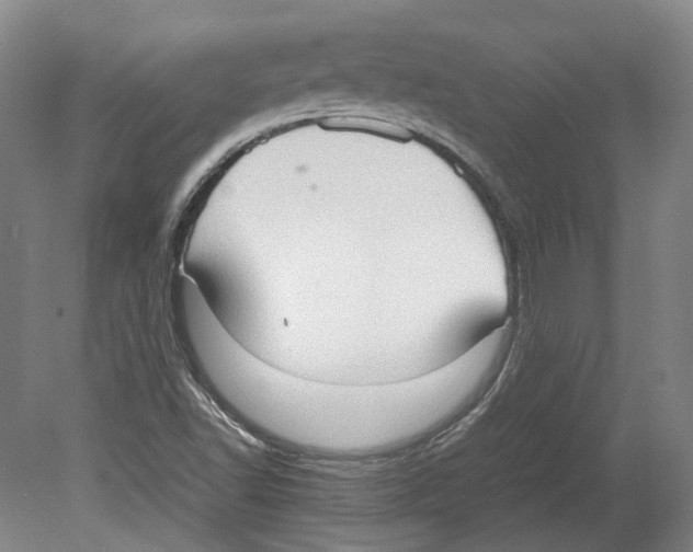 X0000078841502200612111542