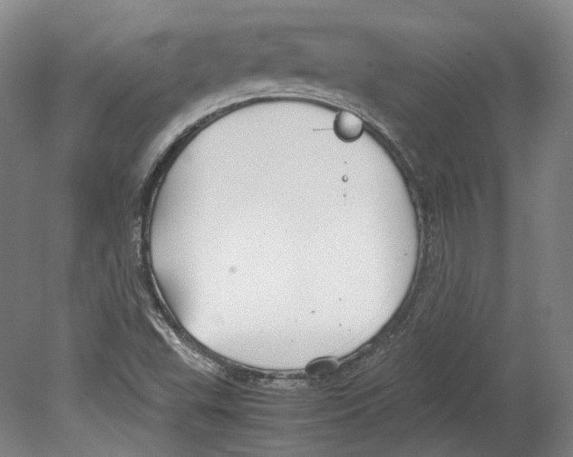 X0000078841503200612111542