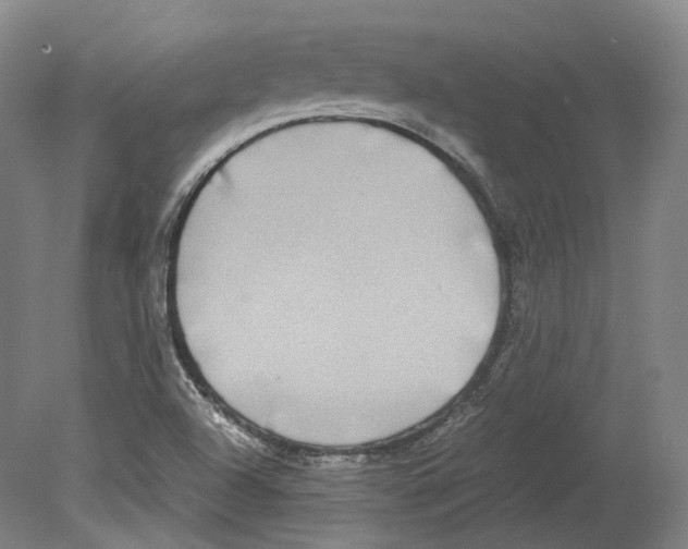 X0000078841504200612111542