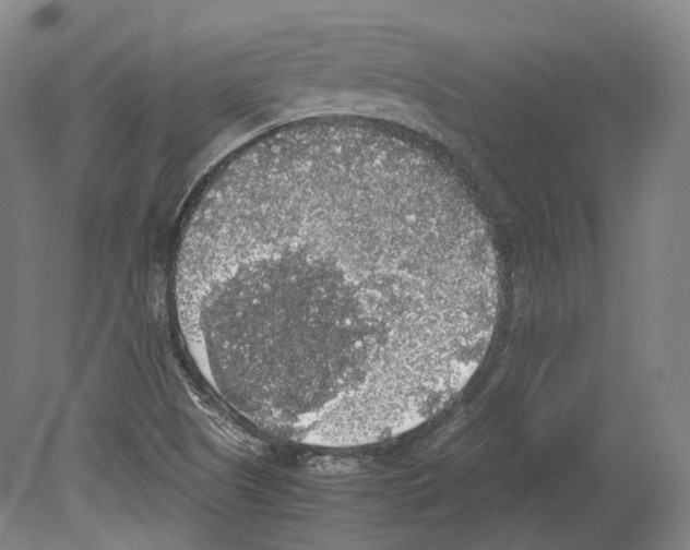 X0000078841505200612111542