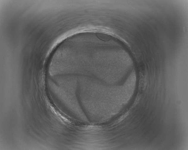 X0000078841506200612111542