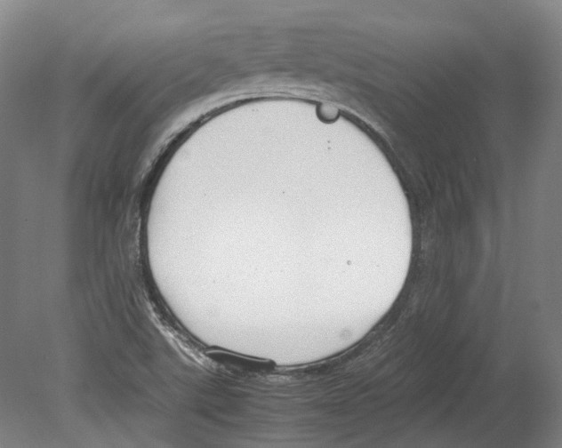 X0000078841507200612111542