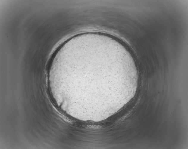 X0000078841509200612111542