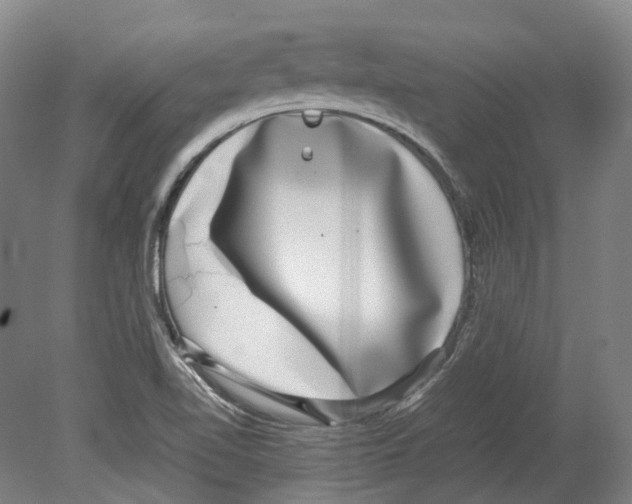 X0000078841510200612111542