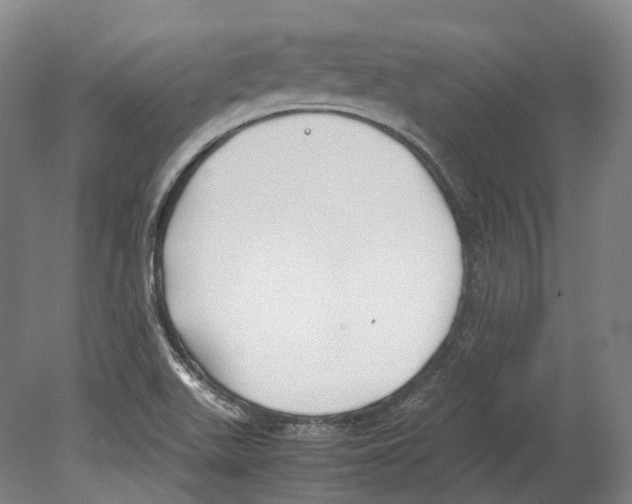 X0000078841511200612111542