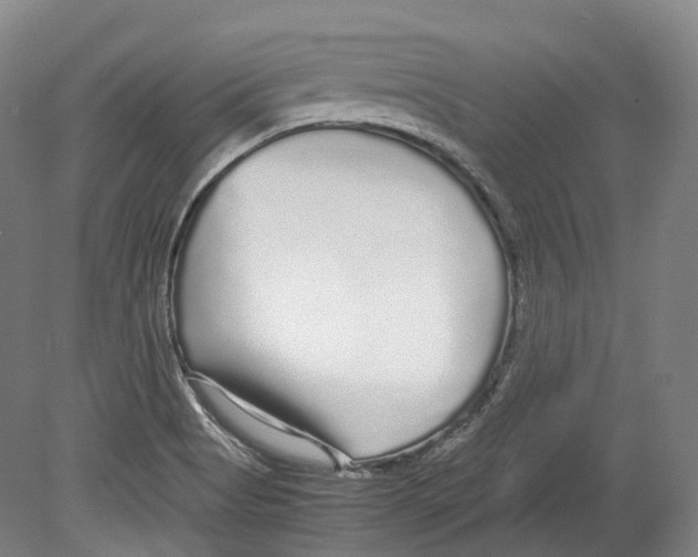 X0000078841513200612111542