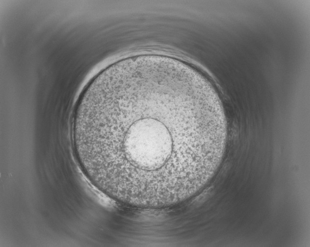 X0000078841514200612111542