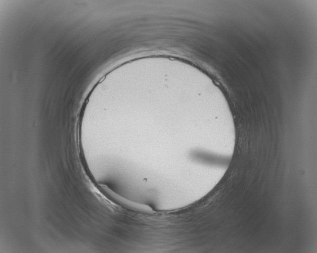 X0000078841516200612111542