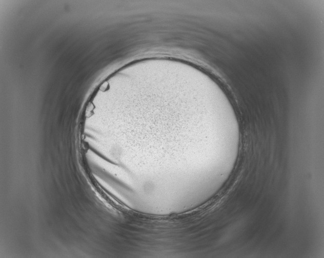 X0000078841517200612111542