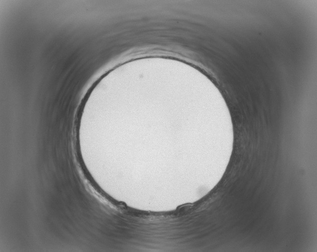 X0000078841518200612111542