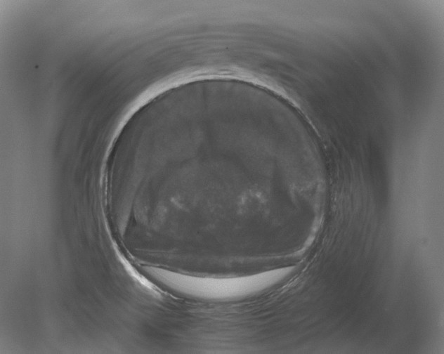 X0000078841519200612111542