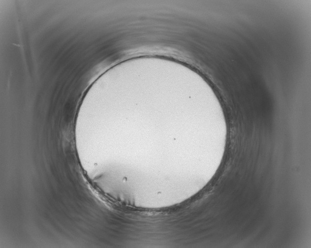 X0000078841521200612111542