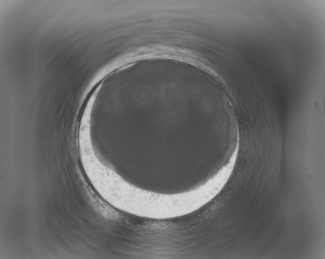 X0000078841522200612111542