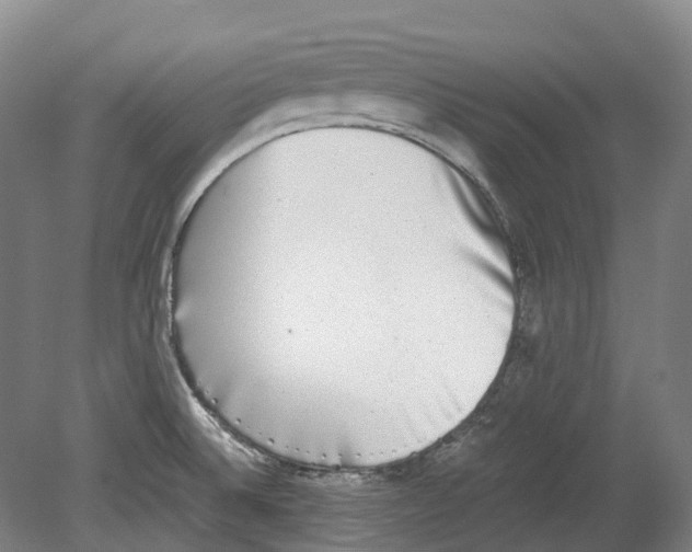 X0000078841524200612111542